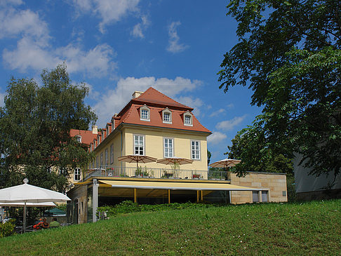 Fotos Bärenzwinger