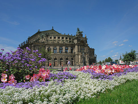 Fotos Semperoper mit Blumen | Dresden