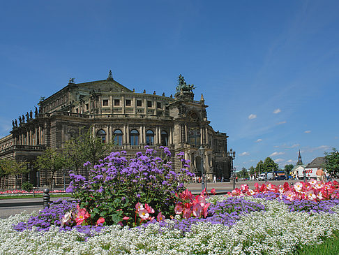 Foto Semperoper mit Blumen