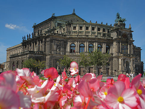 Foto Semperoper mit Blumen - Dresden